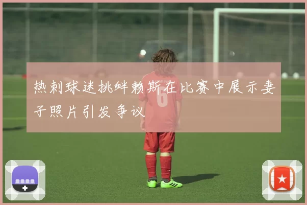 热刺球迷挑衅赖斯在比赛中展示妻子照片引发争议